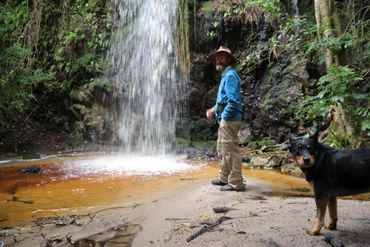 Waterfalls and tea-coloured water in a magical forest on the Diversity Trail