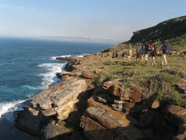 Much of the walking on the first two days of the pondo trail is on the plateau above the cliffs, offering sweeping sea vistas.