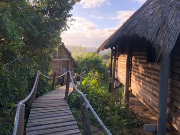 Boardwalk connects the chalets at Mtentu River Lodge.