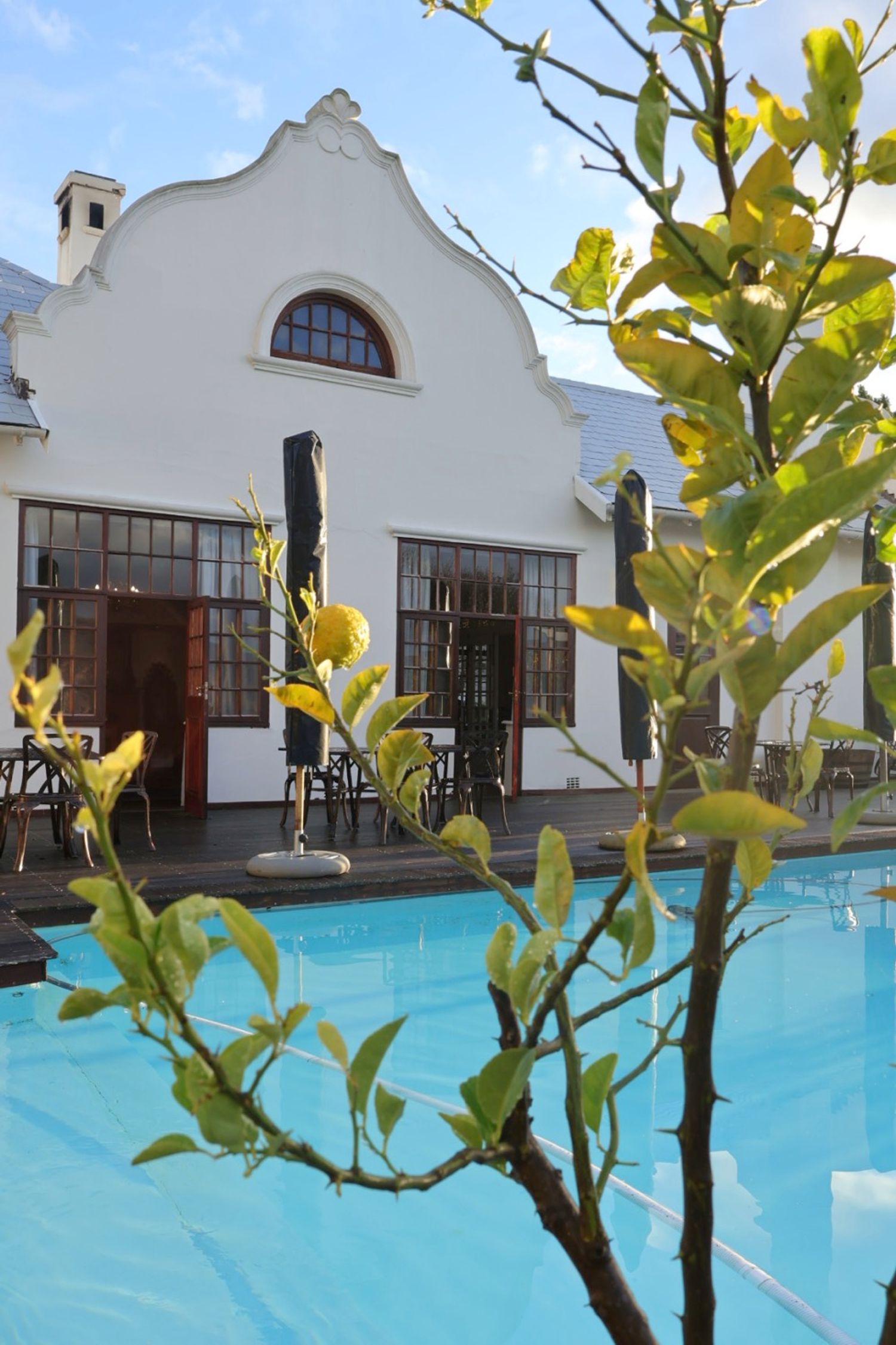 Robertson Wine Walk - Western Cape | Active Escapes